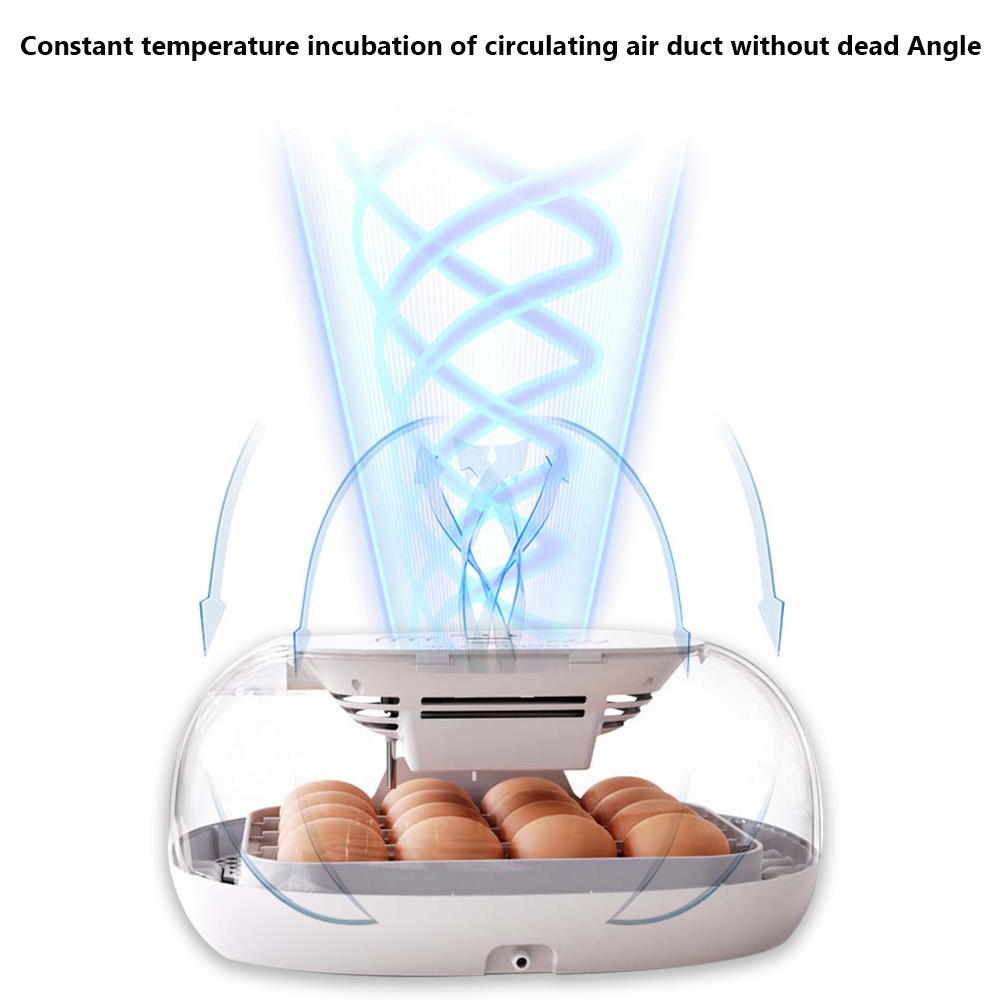 16 Egg Incubator with Automatic Egg Turning Egg Incubator with Temperature Control
