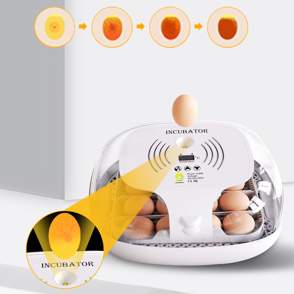 16 Egg Incubator with Automatic Egg Turning Egg Incubator with Temperature Control