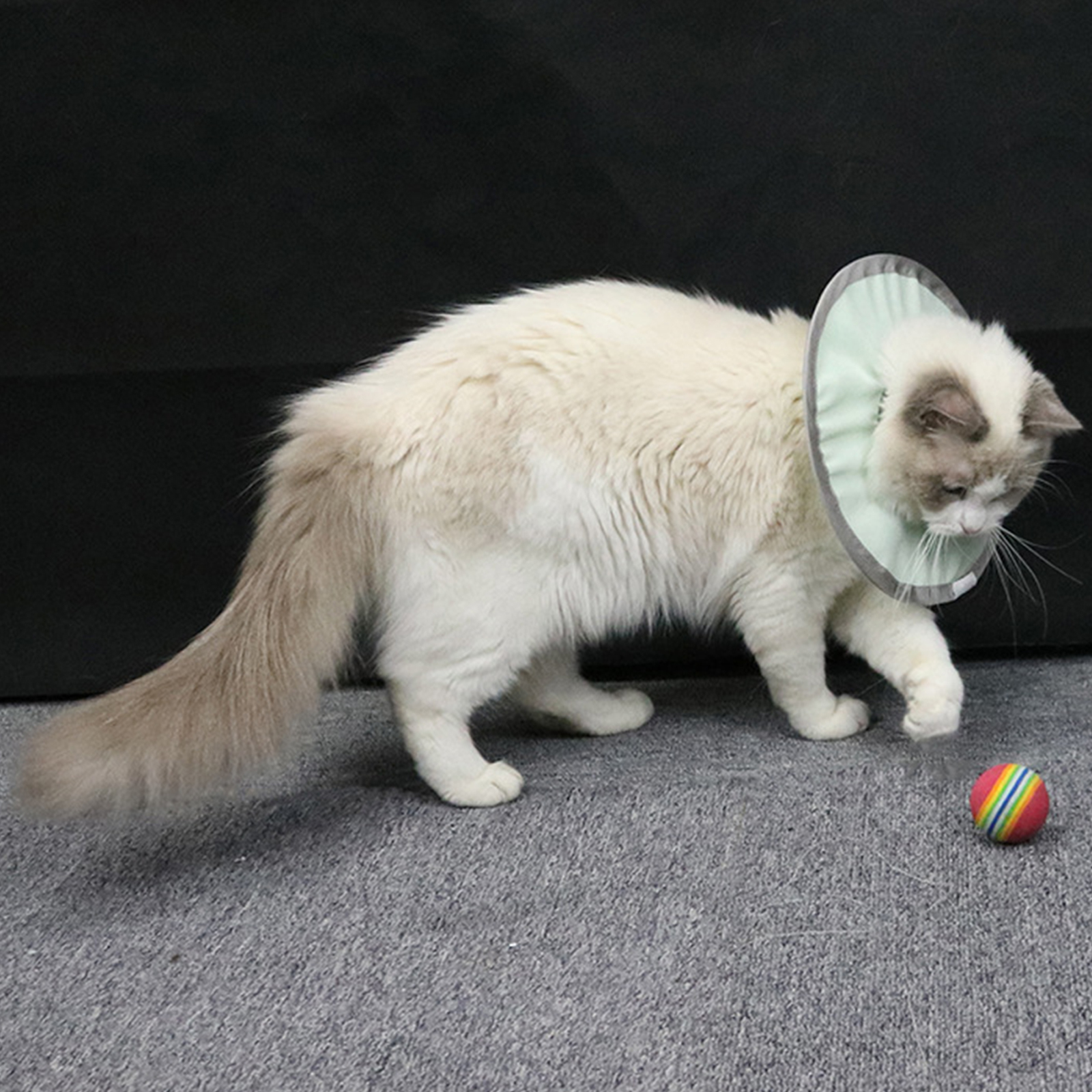 Cat Recovery Collar Protective Cat Neck Cones Adjustable Pet Cone Collar Lightweight Kitten Cones After Surgery Elizabethan Collar For Cats Dog green M